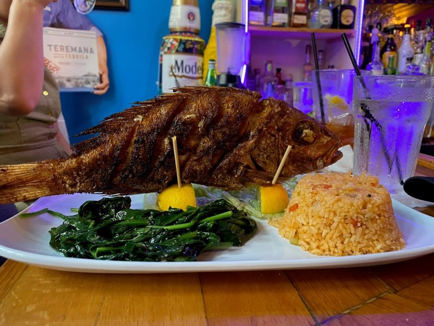 Cilantro Cocina de Mexico