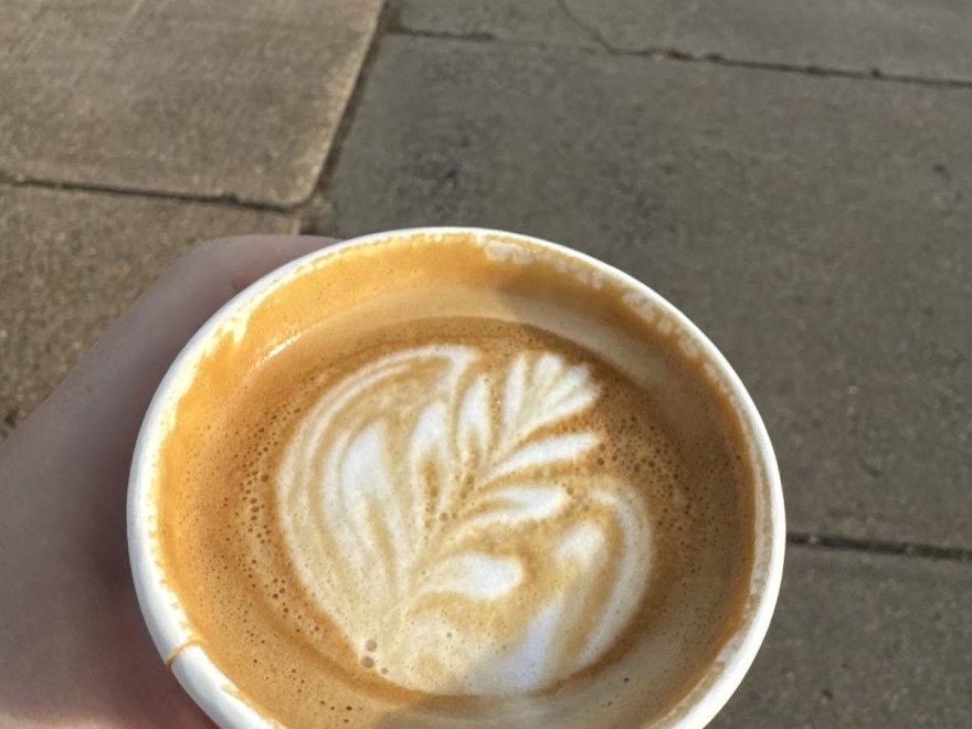 Gaia Coffee Co.