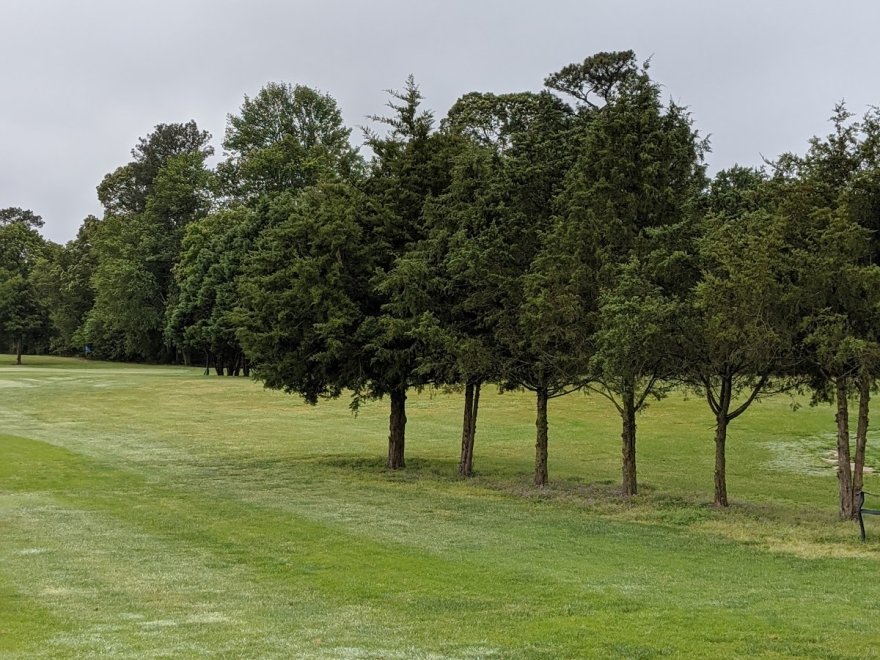 Stenger's Shamrock Farms Par 3