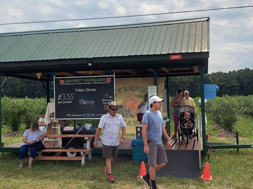 Bennett Orchards
