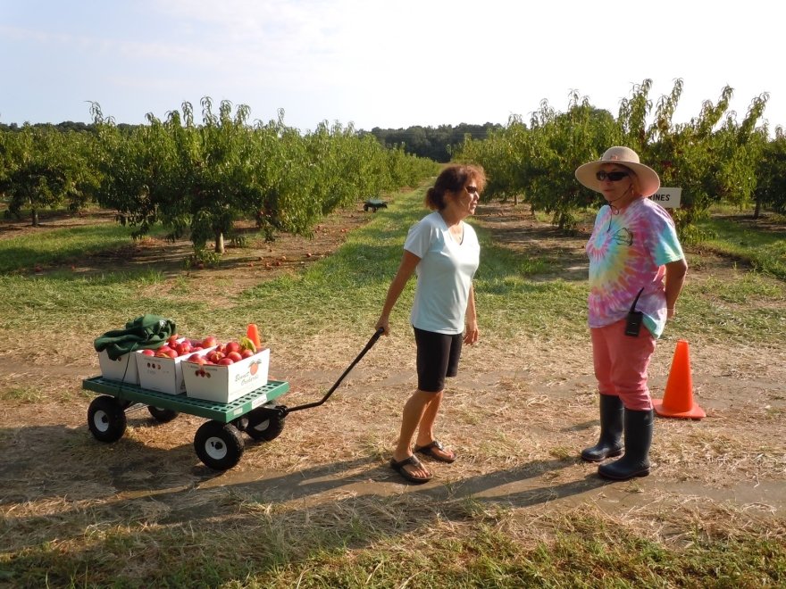 Bennett Orchards