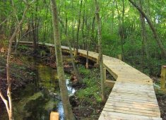 Abbott's Mill Nature Center of Delaware Nature Society