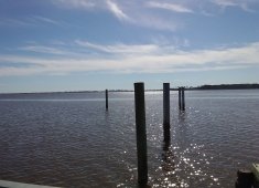 Assawoman Wildlife Area