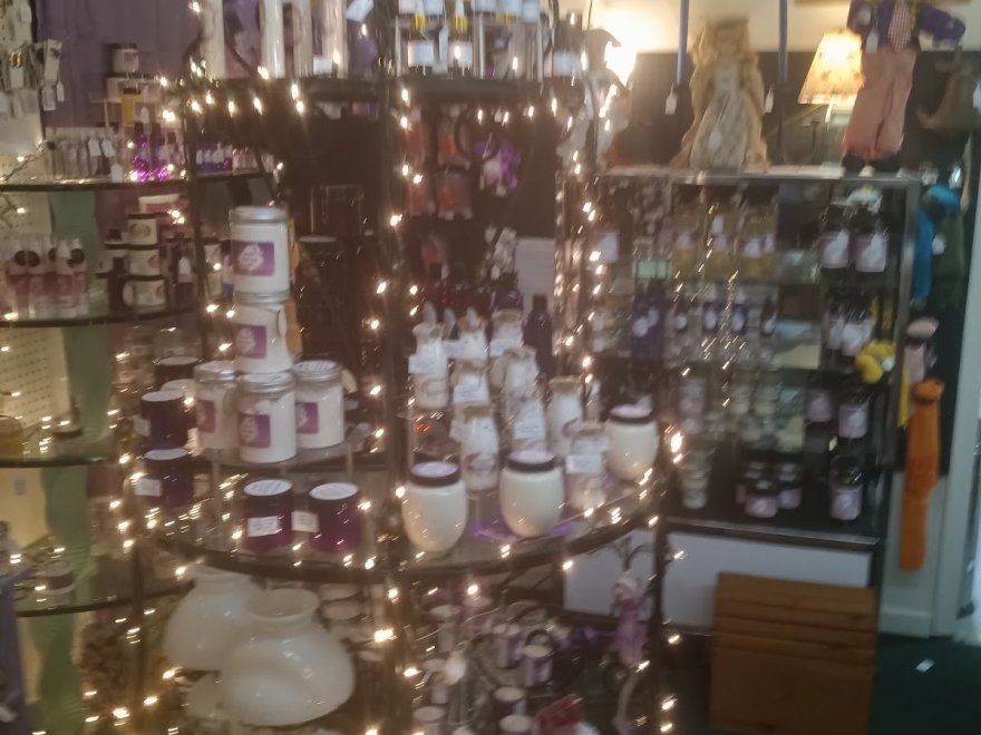 Antique Alley of Bridgeville llc