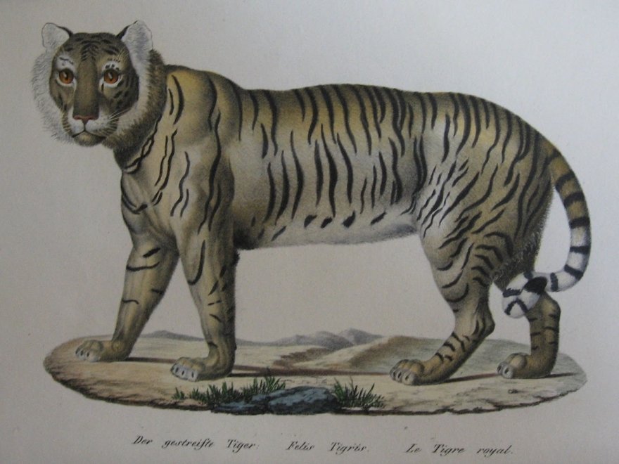 Antique Prints, Inc.