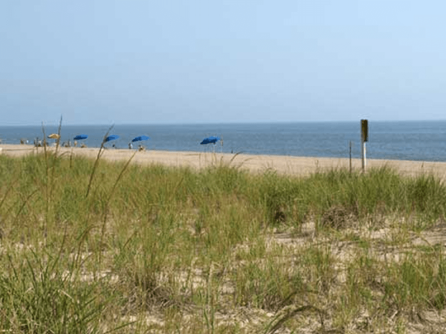 Beach View Hotel